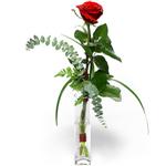 Ankara Aya� �i�ek sipari�i sitemizin g�rsel �r�n� Camda sadece tek k�rm�z� g�l Ankara �i�ek g�nder firmas� �ahane �r�n�m�z